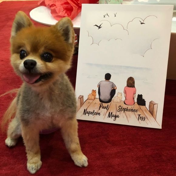 Meet your Posher, Stephenne - Picture 1 of 1